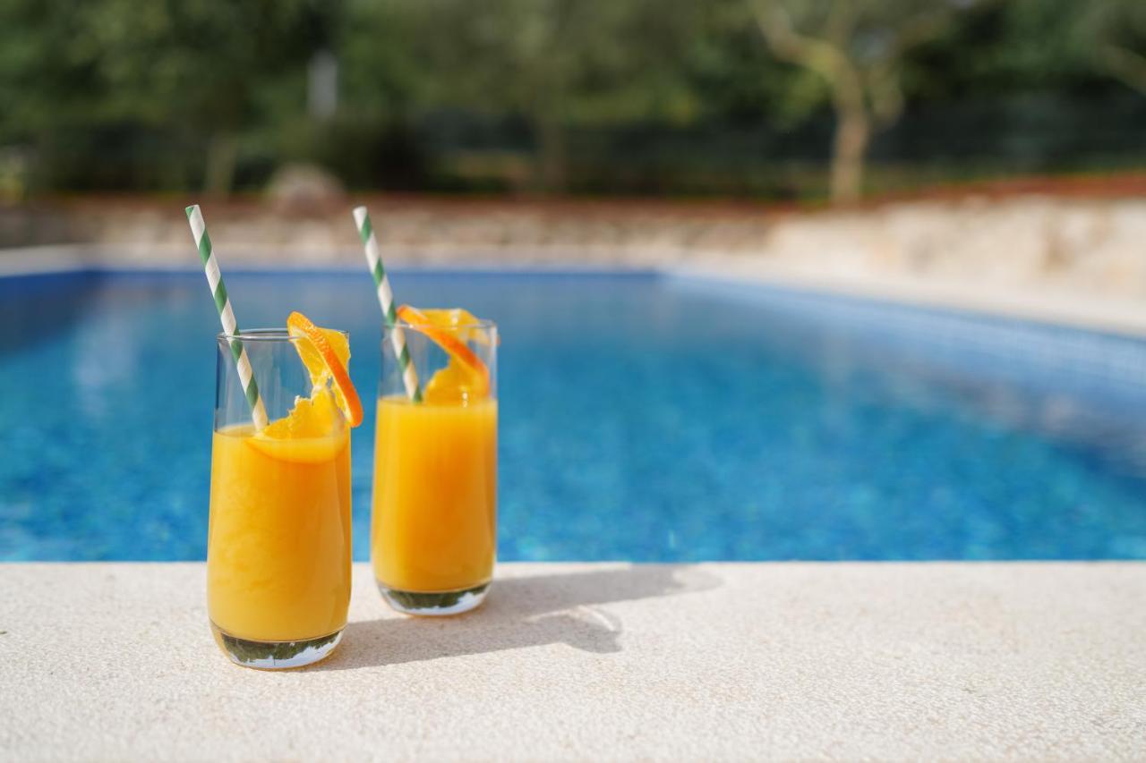 Stone Lady Holiday Home With Pool&Hot Tub,Sauna,Bbq,Garden Rasopasno Εξωτερικό φωτογραφία