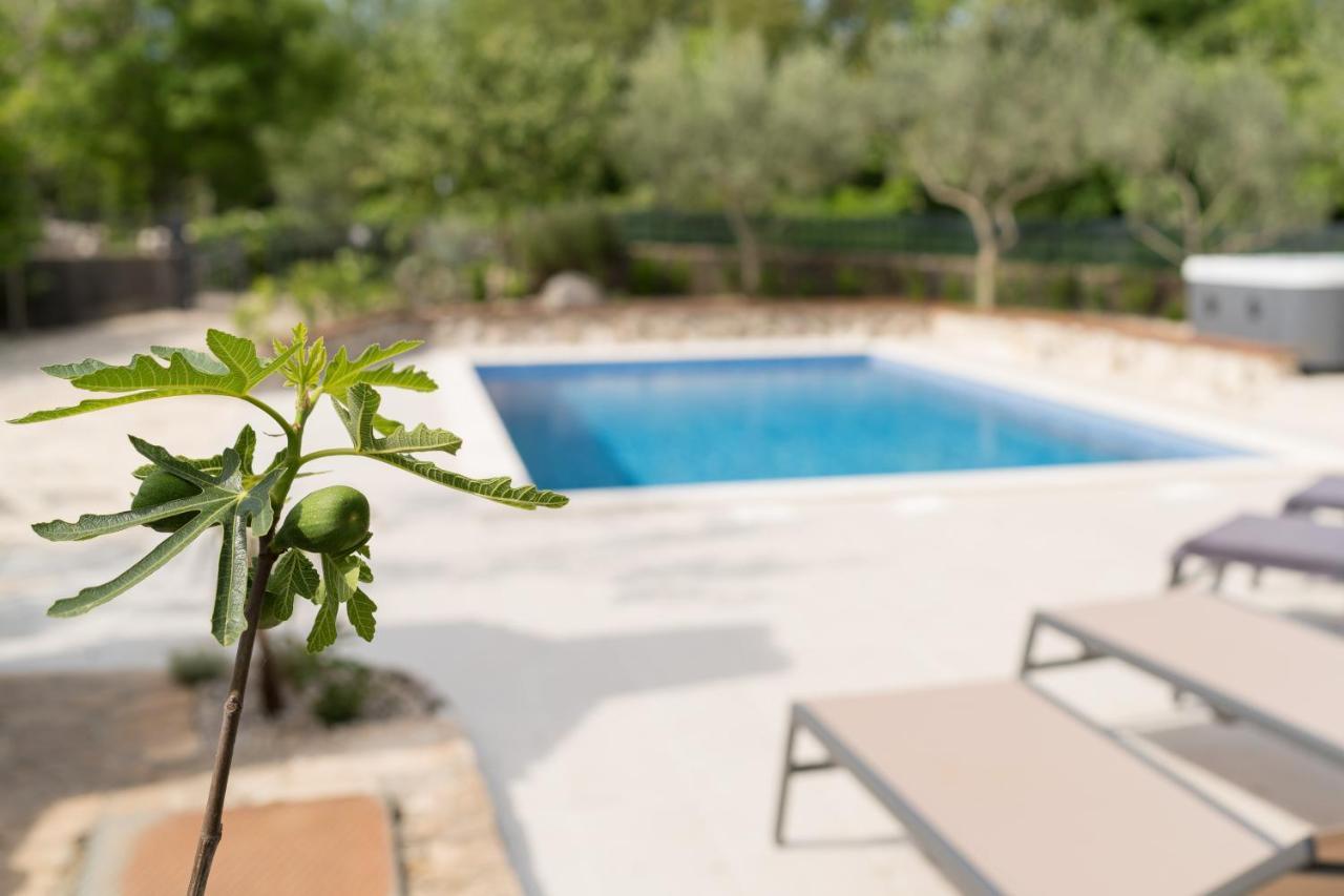 Stone Lady Holiday Home With Pool&Hot Tub,Sauna,Bbq,Garden Rasopasno Εξωτερικό φωτογραφία